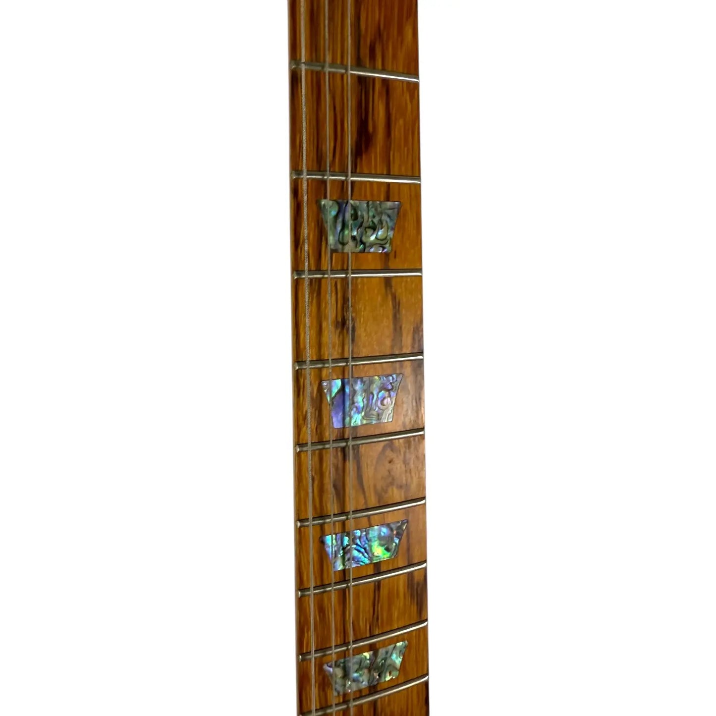 Gibson Firebird X Limited Edition - Pat´s Guitars