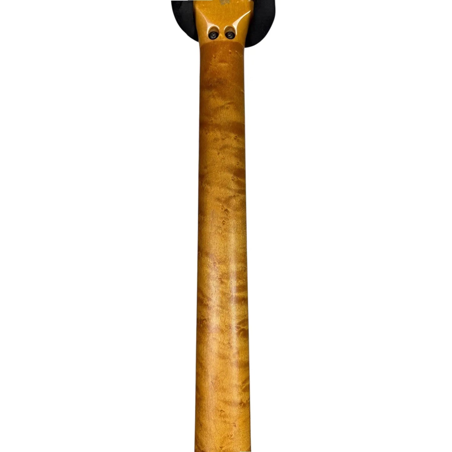 Musicman by Ernie Ball Music Man Ernie Ball