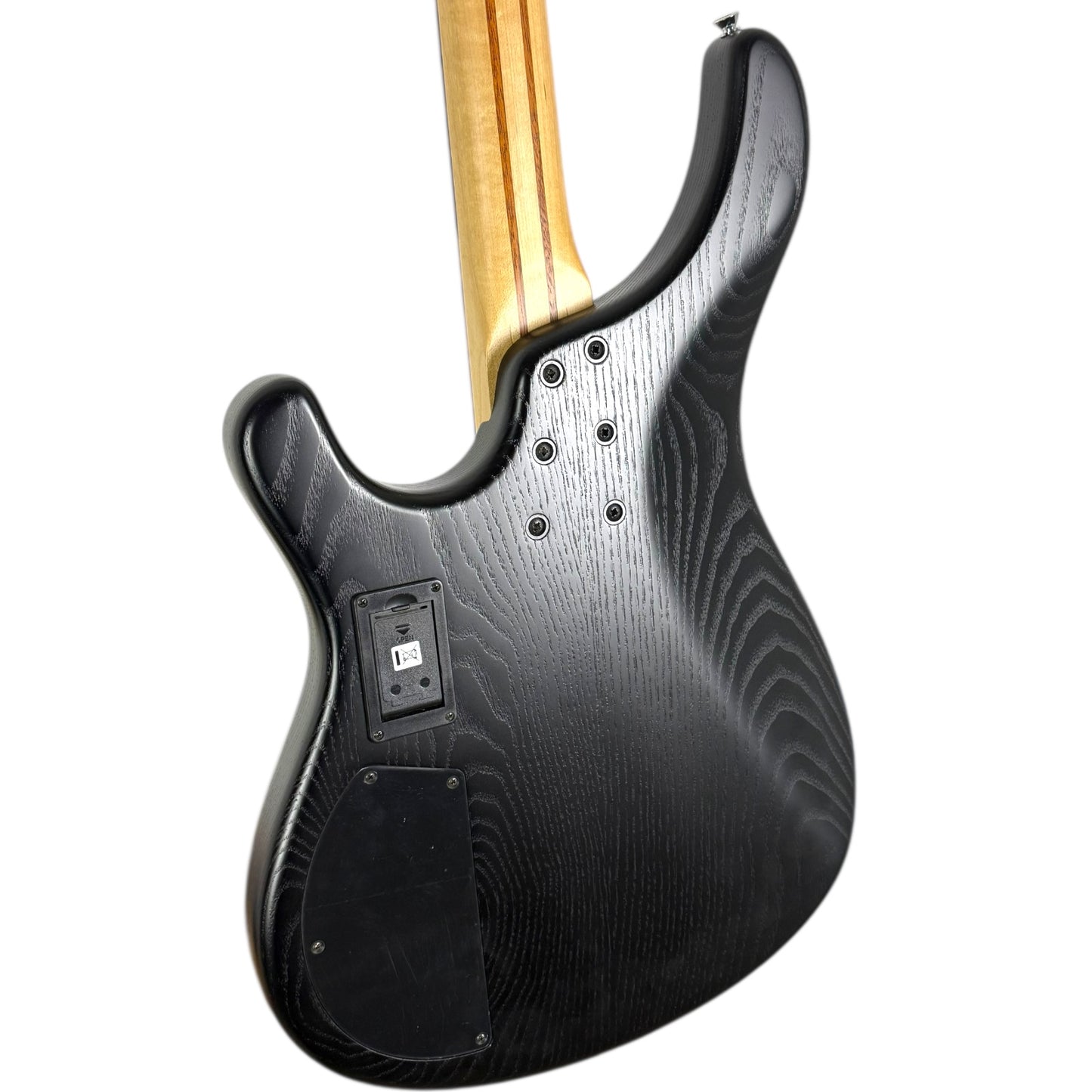 Sandberg Basic 4 Greenline Bass 2023 - Black