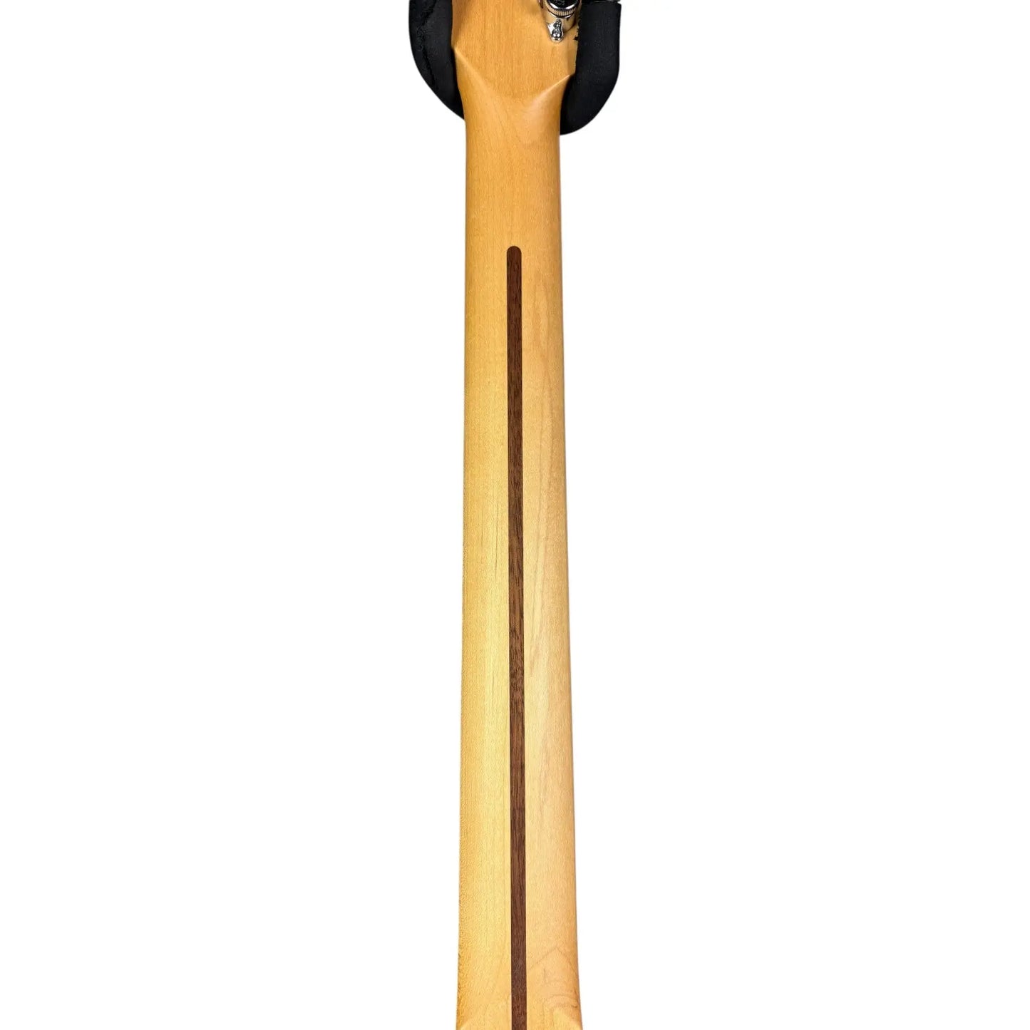 Schecter Schecter