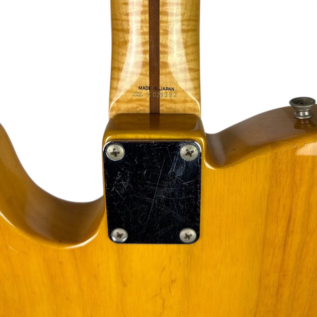 Fender Telecaster Nature Fender