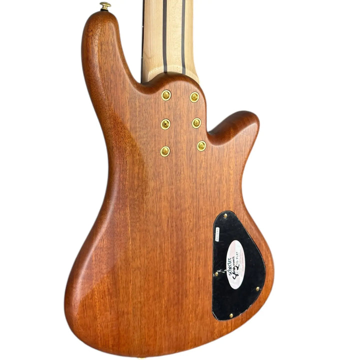 Schecter Diamond Series Schecter