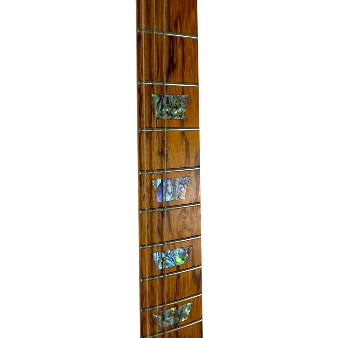 Gibson Firebird X Limited Edition - Pat´s Guitars