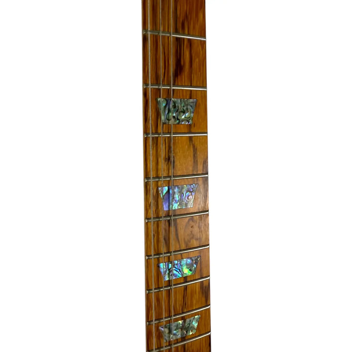 Gibson Firebird X Limited Edition - Pat´s Guitars