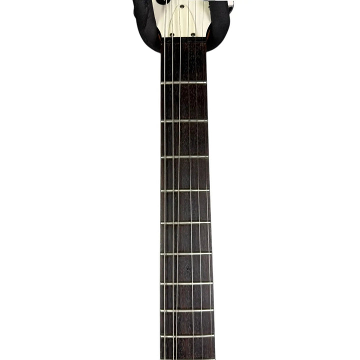 Schecter Diamond Series Schecter