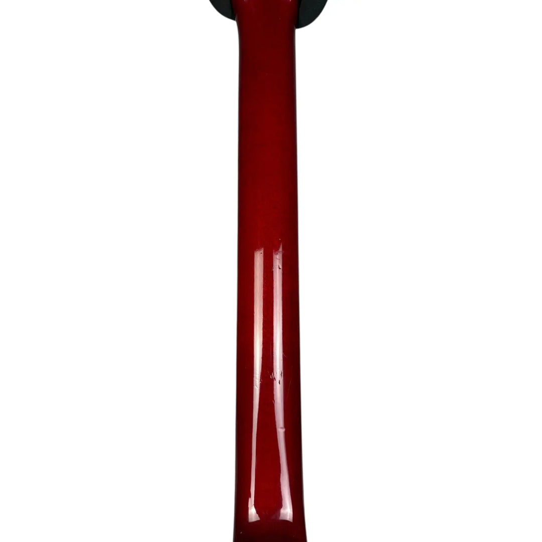 Tokai Love Rock Tokai