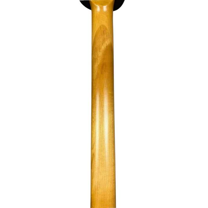 Schecter Diamond Series Schecter