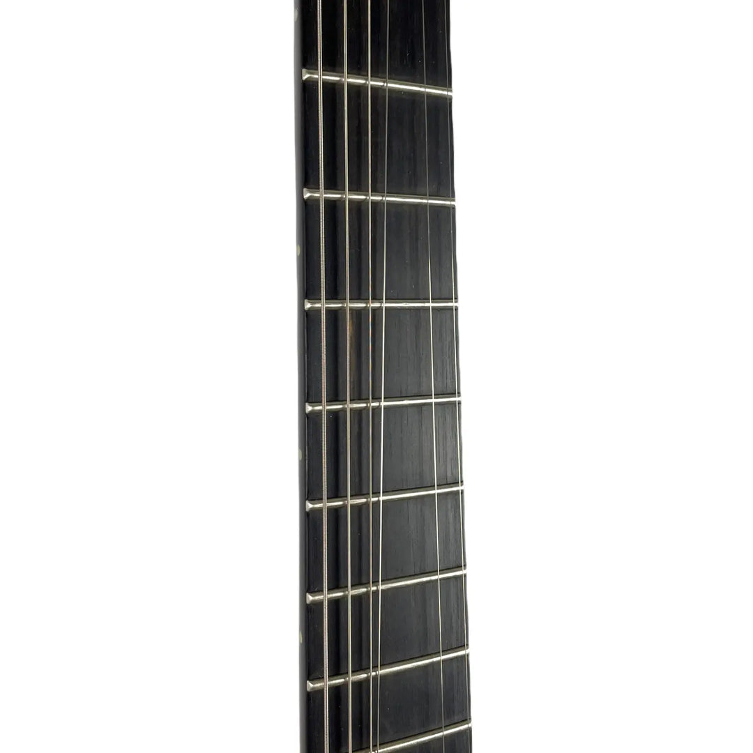 Ibanez Iron Label RGRTB621 2021 - Black Flat Ibanez