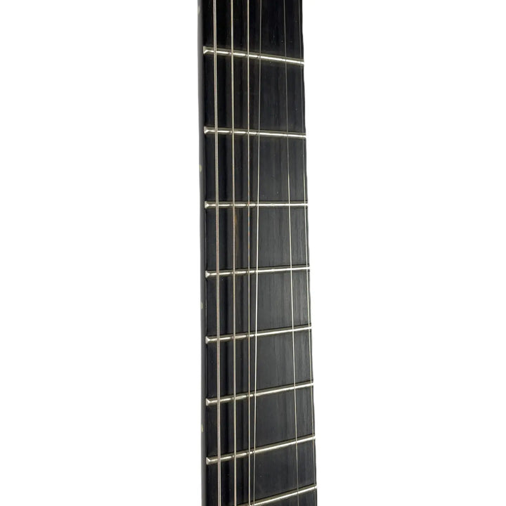 Ibanez Iron Label RGRTB621 2021 - Black Flat Ibanez