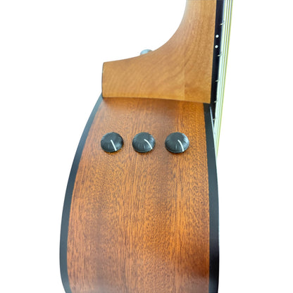 Taylor 114ce Sapele Akustisk 2022 - Natural