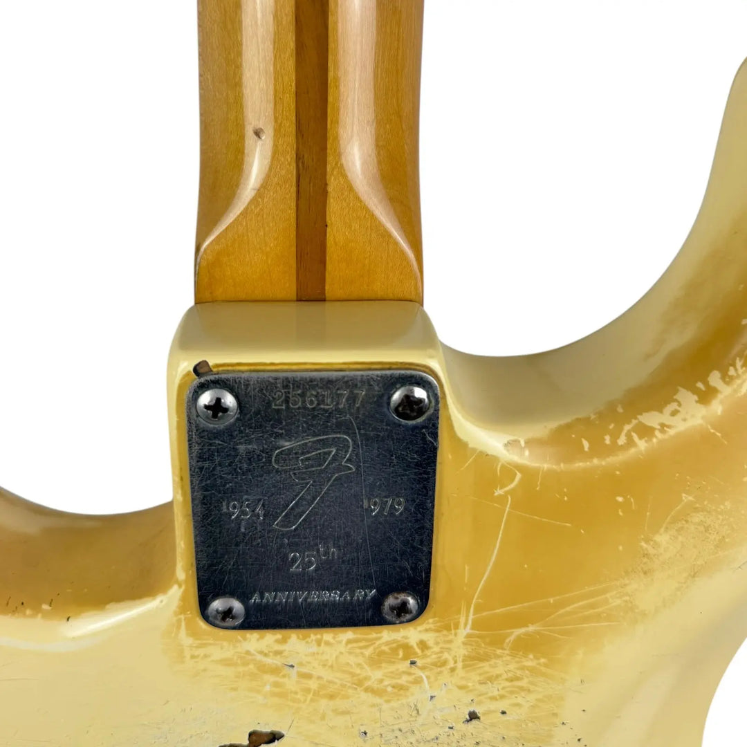 Fender Stratocaster Fender