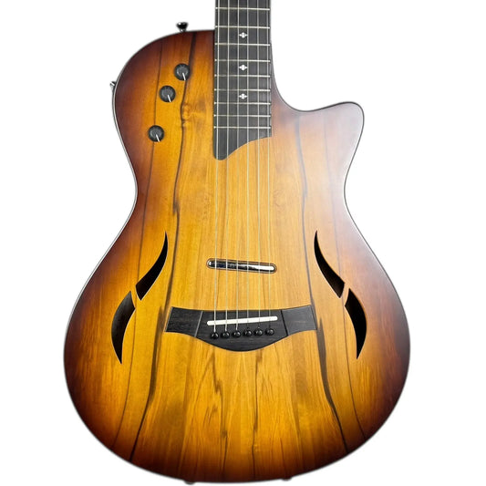 Taylor Akustik Taylor