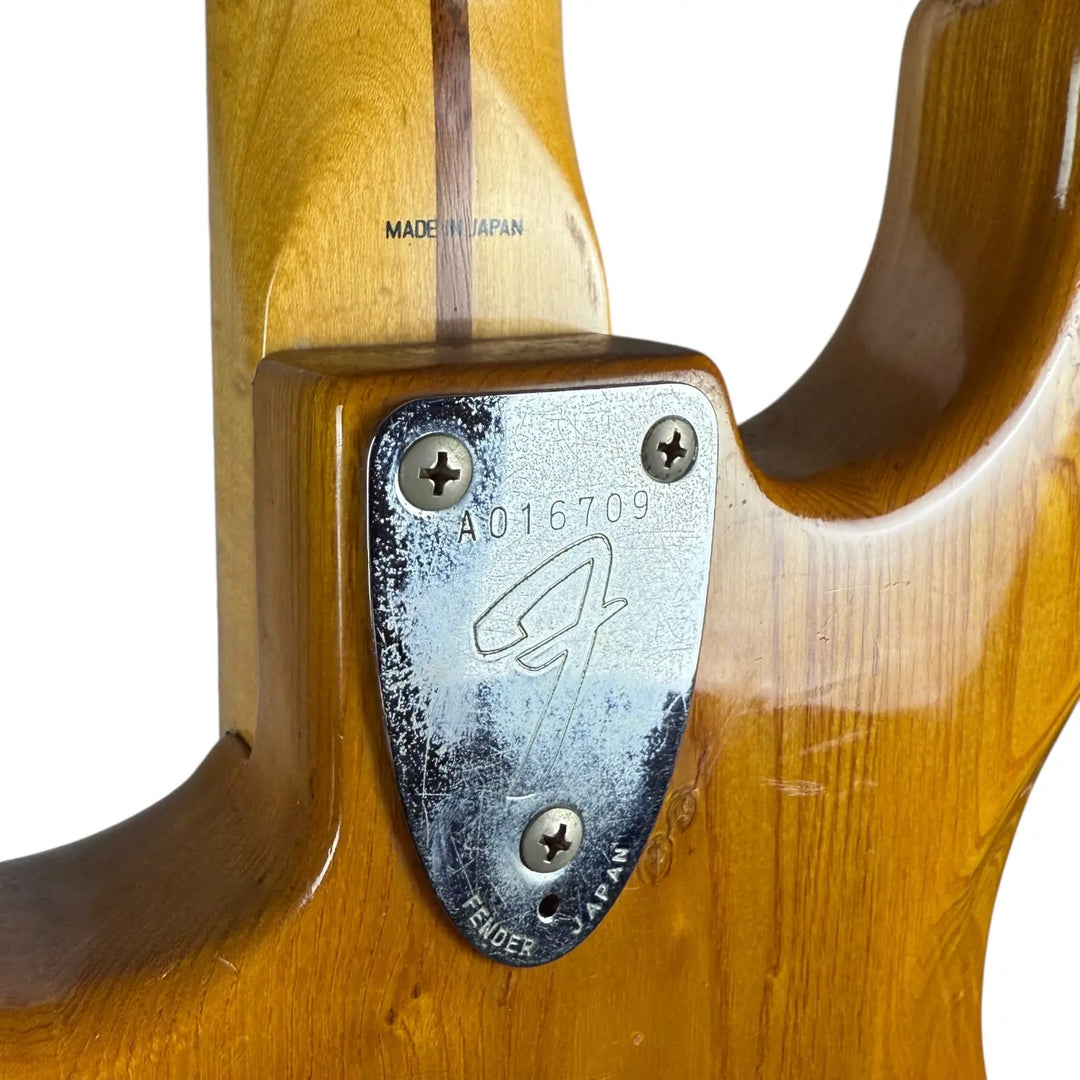 Fender Stratocaster Fender