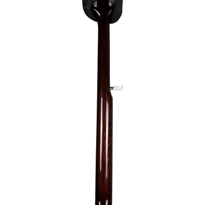 Fender Banjo Fender
