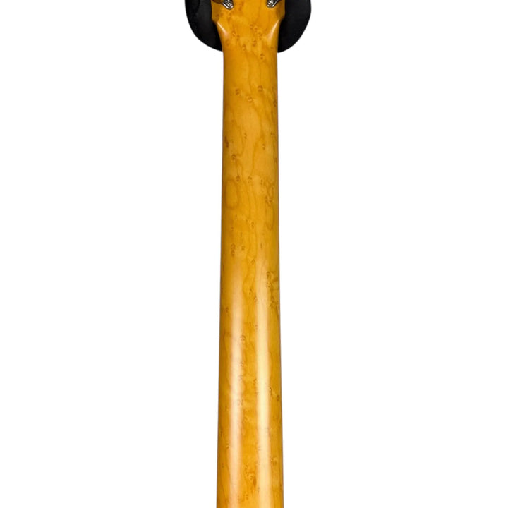 Ibanez Talman Ibanez