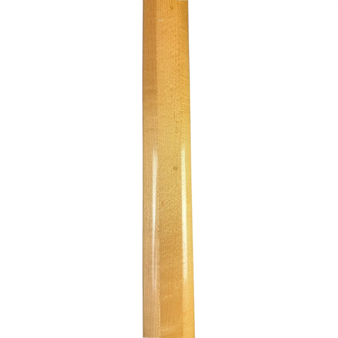 Aktiv siggi Pat´s Guitars