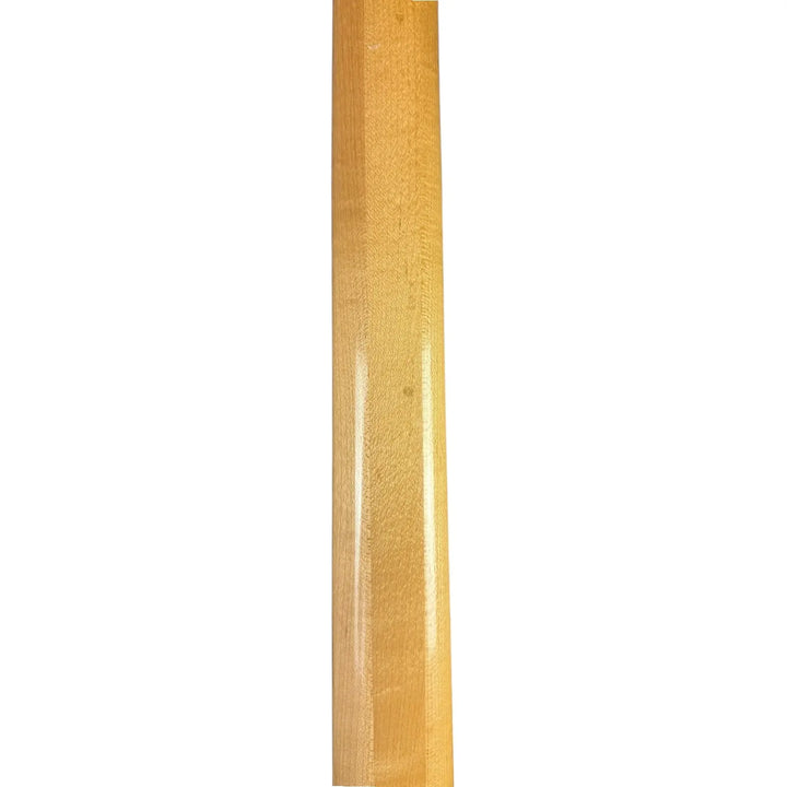 Aktiv siggi Pat´s Guitars