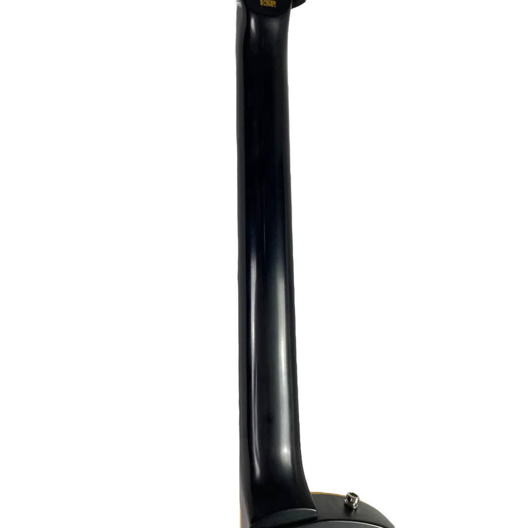 ESP LTD EC-1000 2014 - Vintage Black - Pat´s Guitars