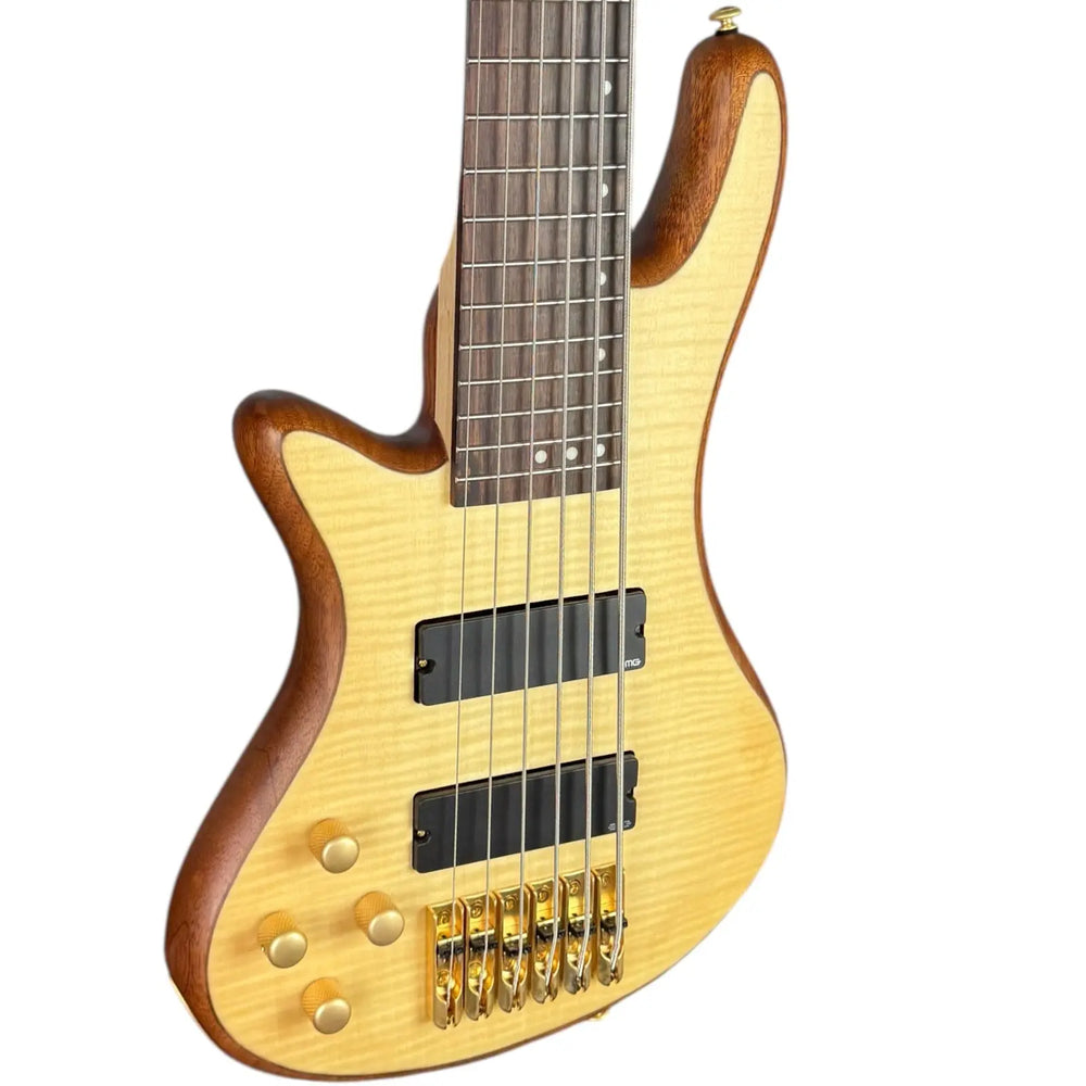 Schecter Diamond Series Schecter