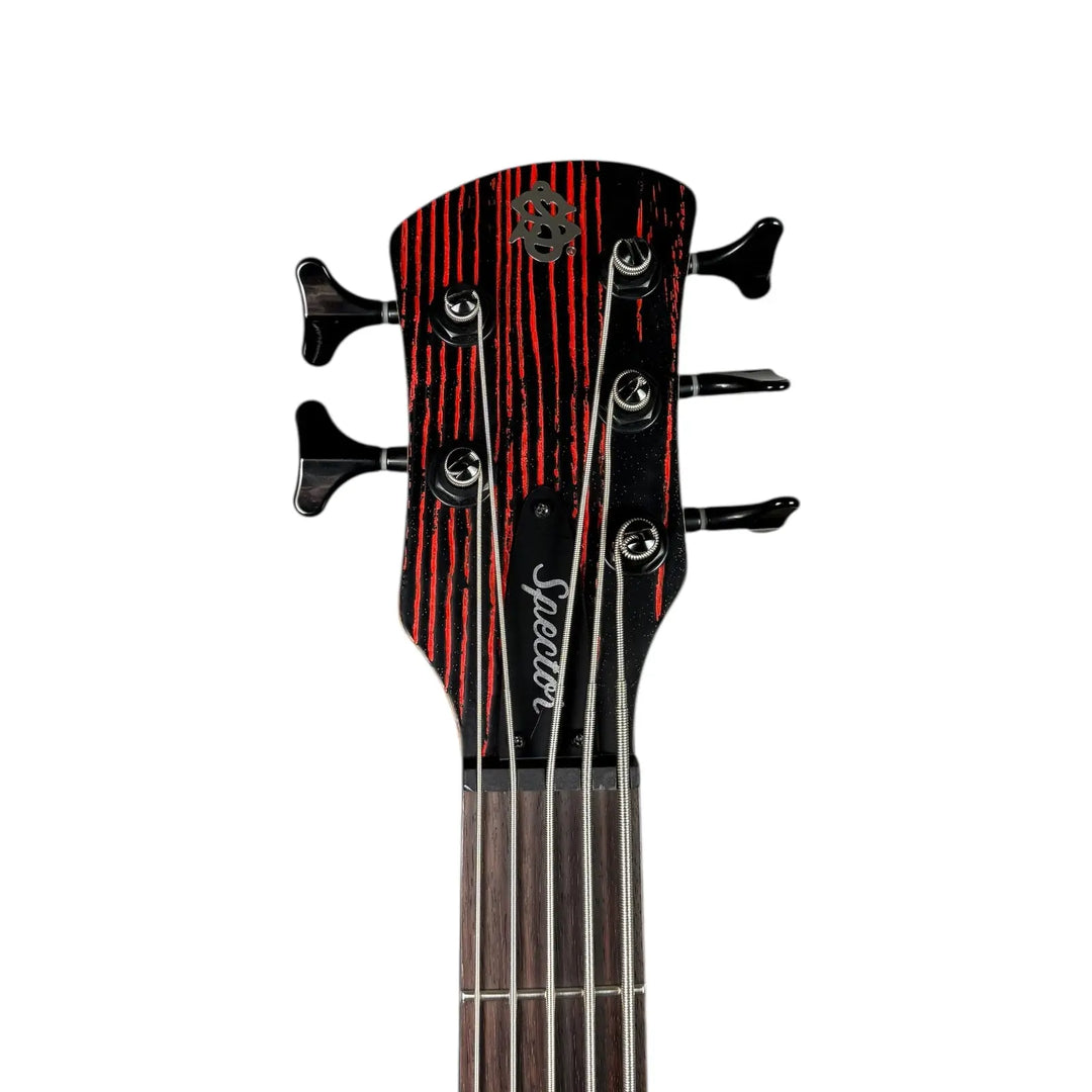 Spector Bass 5 String Spector