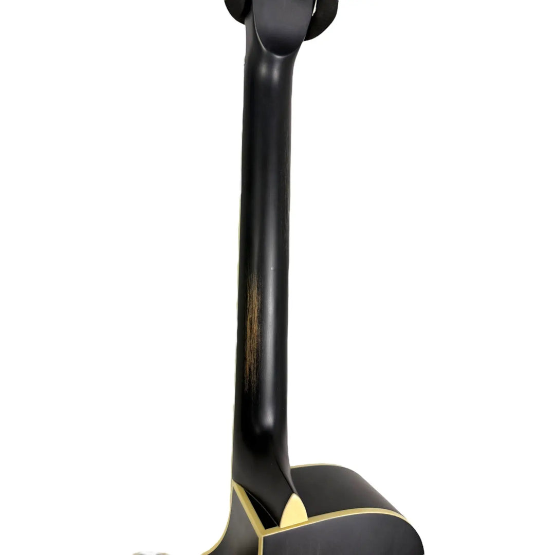 Ortega Resonator RRG40CE-DBK - Pat´s Guitars