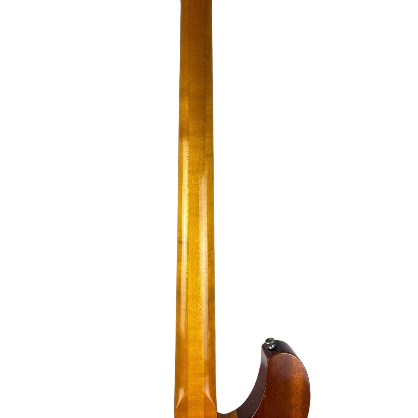 Ibanez Studio Bass Ibanez