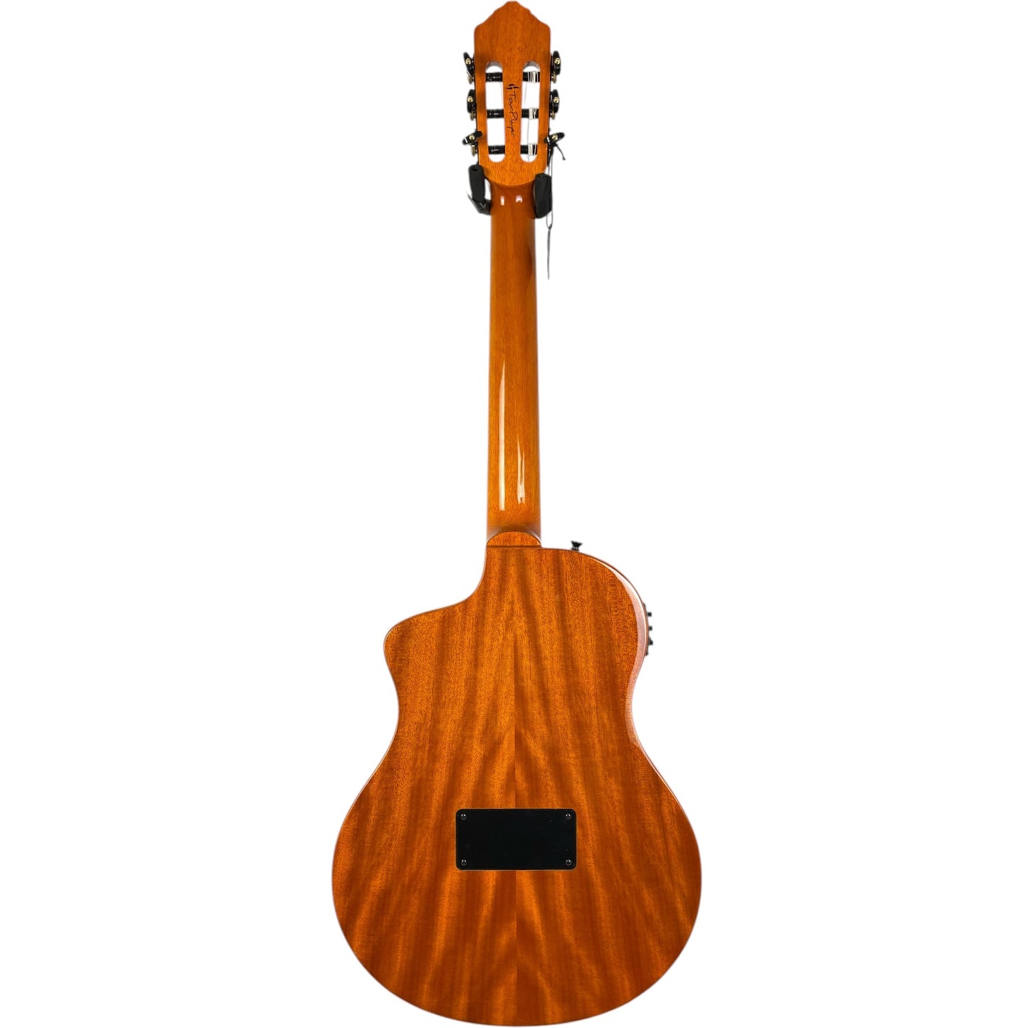 ORTEGA Tour Player RTP LTD - ナチュラル