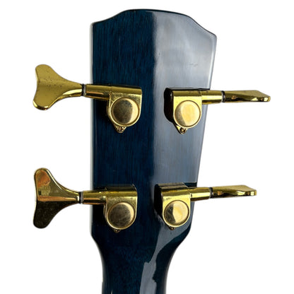Steiner Basse Acoustique - Dark Blue Burst