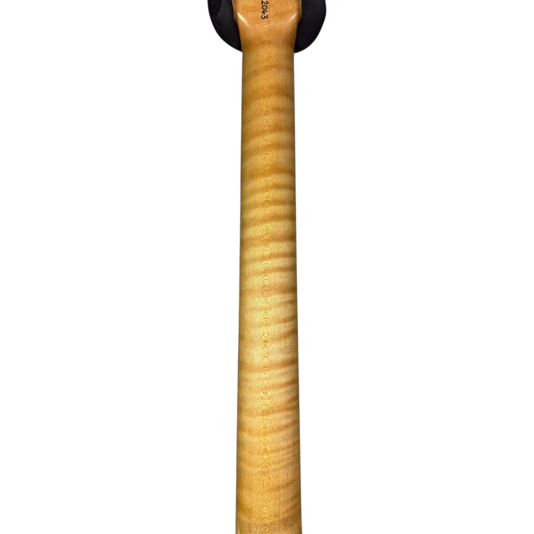 Nik Huber Dolphin II Nik Huber