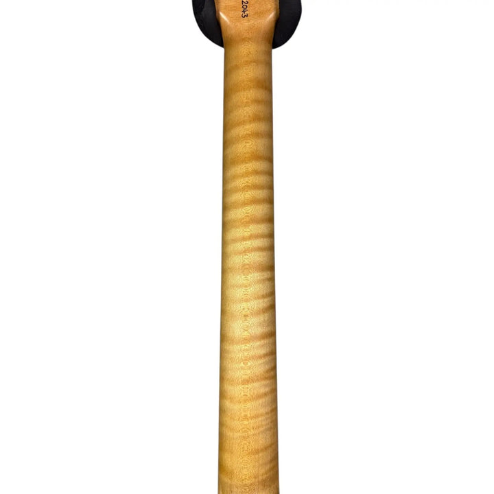 Nik Huber Dolphin II Nik Huber