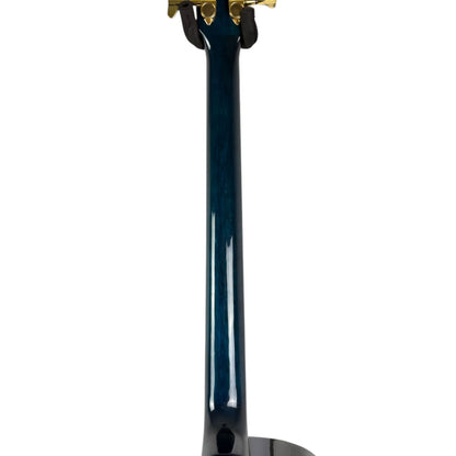Steiner Basse Acoustique - Dark Blue Burst