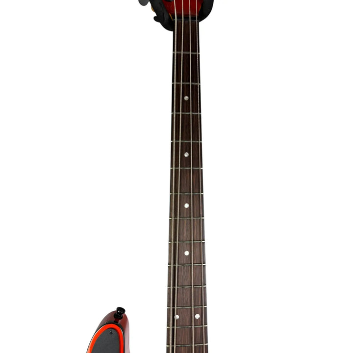 Schecter Bass Schecter