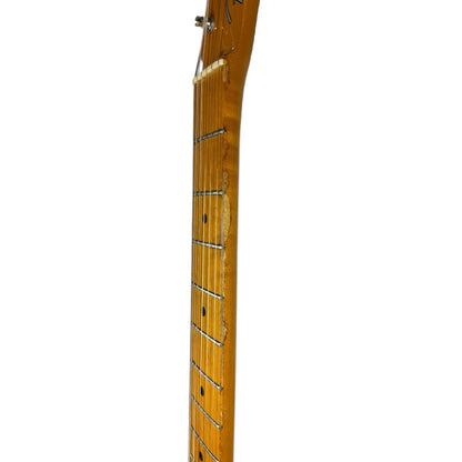 Fender Telecaster Nature Fender