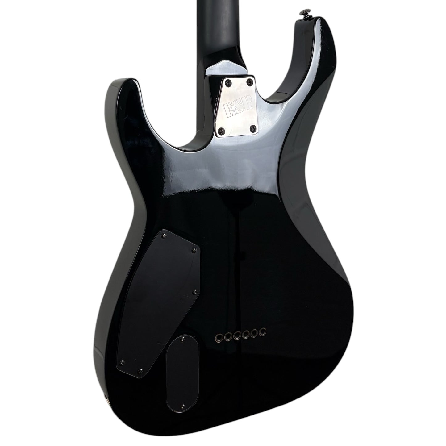 ESP LTD Slayer 25th Anniversary 2011 - Reign in Blood