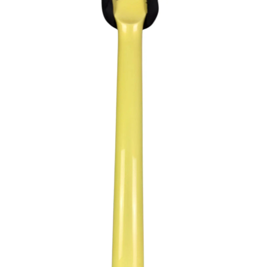 Ibanez Roadstar II Series Ibanez