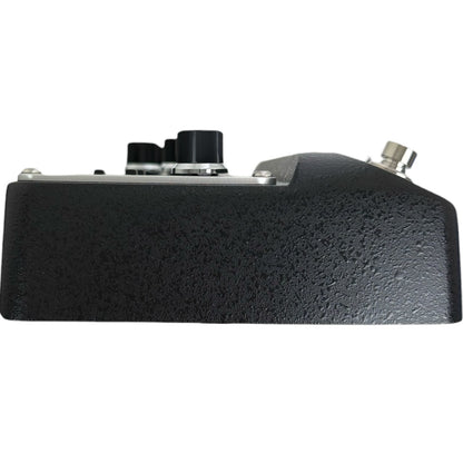 Boss RE-202 Space Echo Effect Pedal
