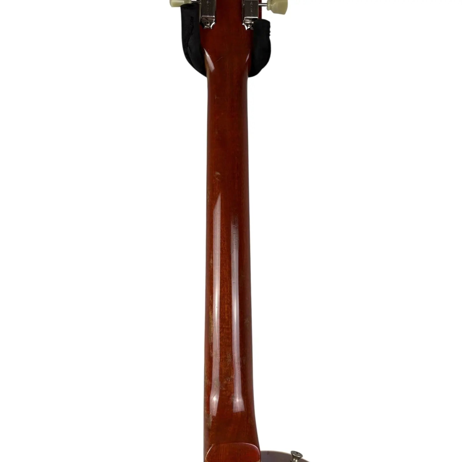 Tokai Reborn Old Tokai