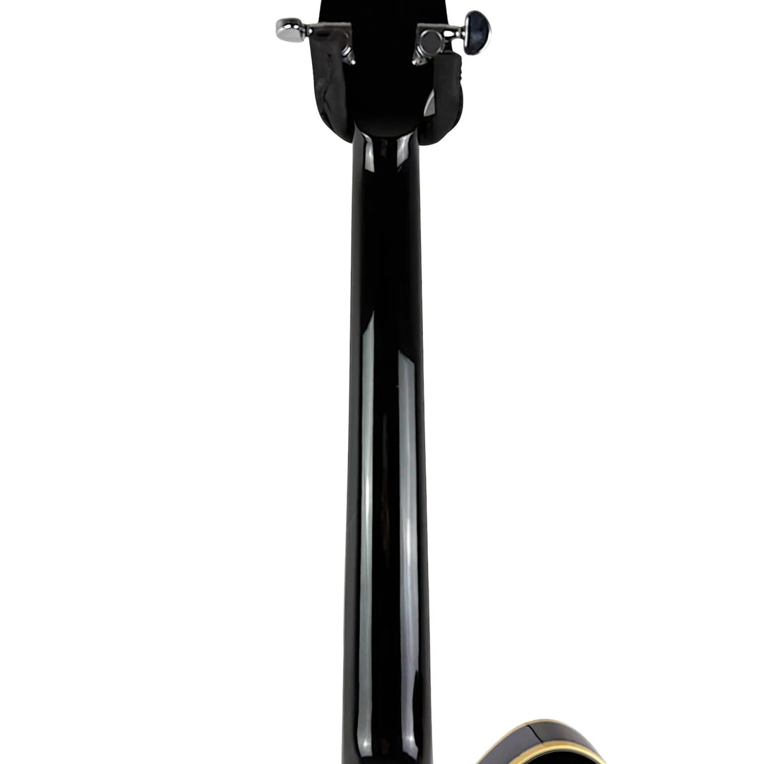 Ibanez Halbakustik Goldtop Ibanez