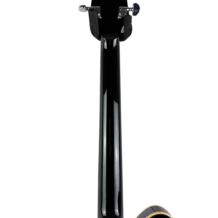 Ibanez Halbakustik Goldtop Ibanez