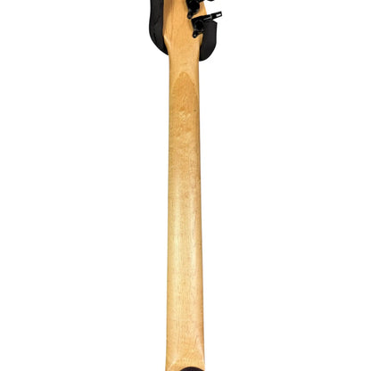 Ibanez RG Series Ibanez