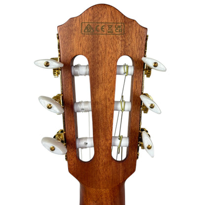Ibanez FRH10N-NTF Akustik 2023 - Natural