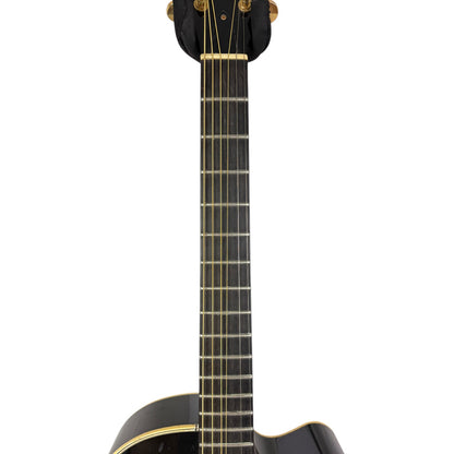 ESP AS-300 Alfee Akustik - Black - Defekt