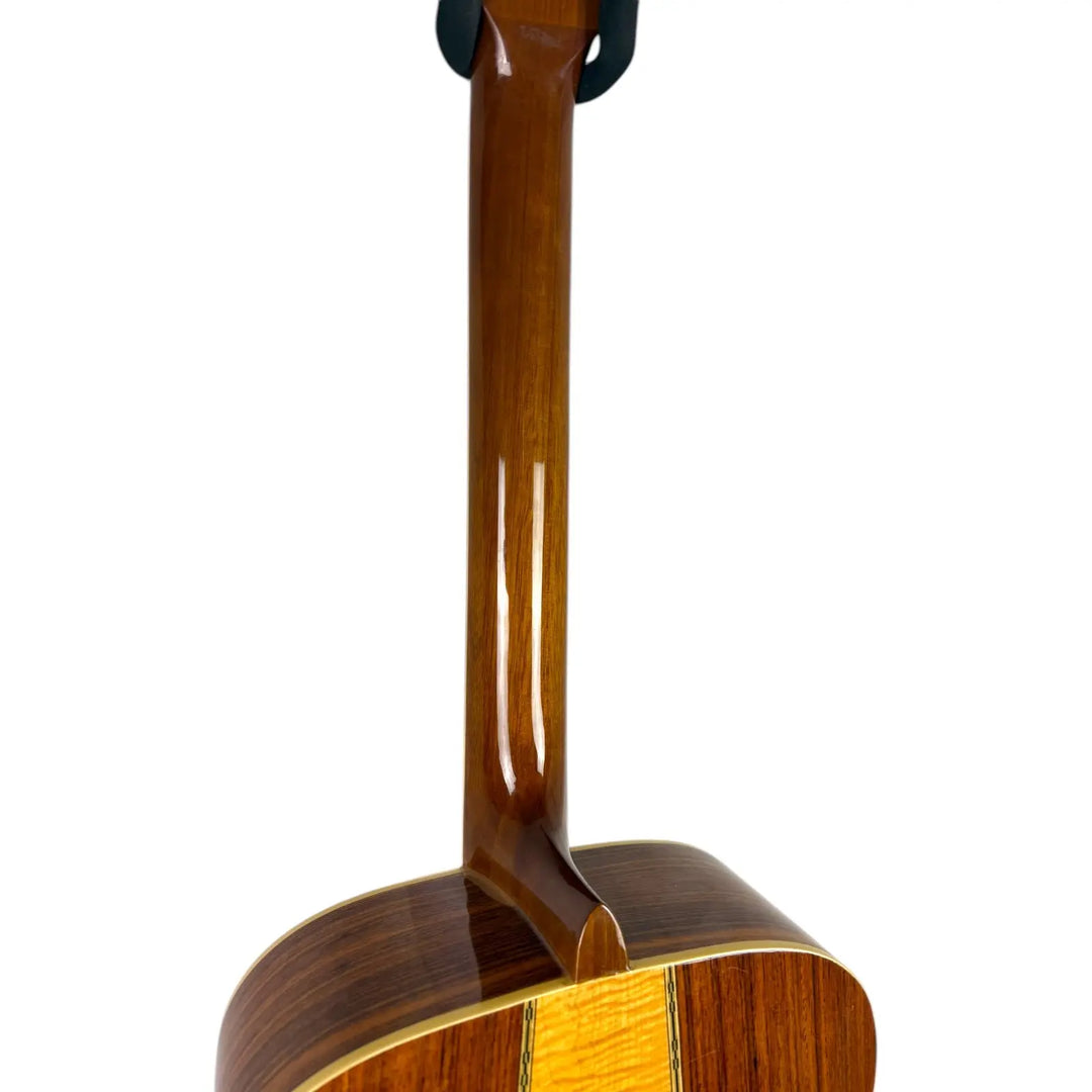 Luxor Country 12 String Dreadnought - Pat´s Guitars