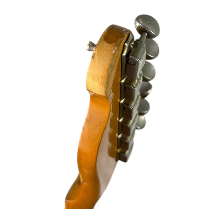 Fender Telecaster Nature Fender