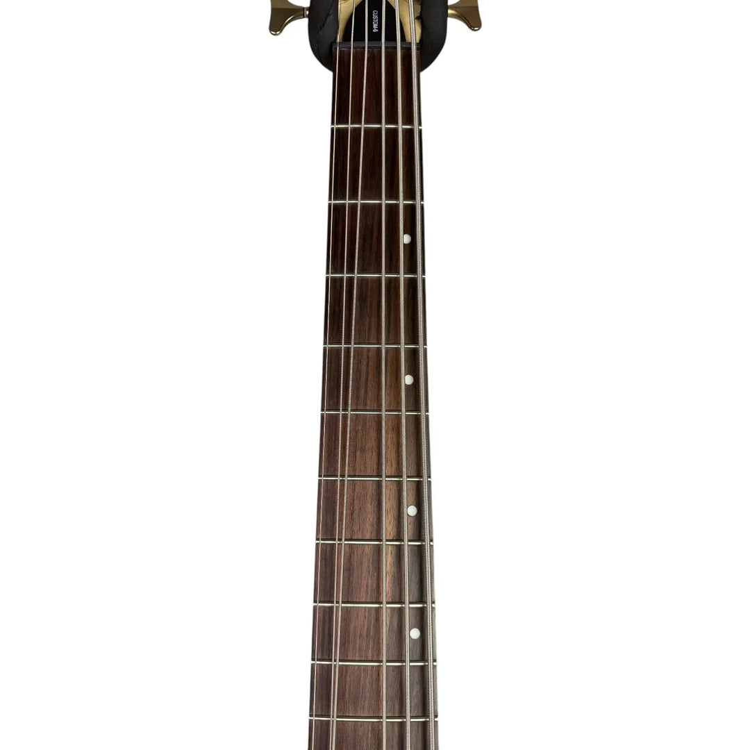 Schecter Diamond Series Schecter