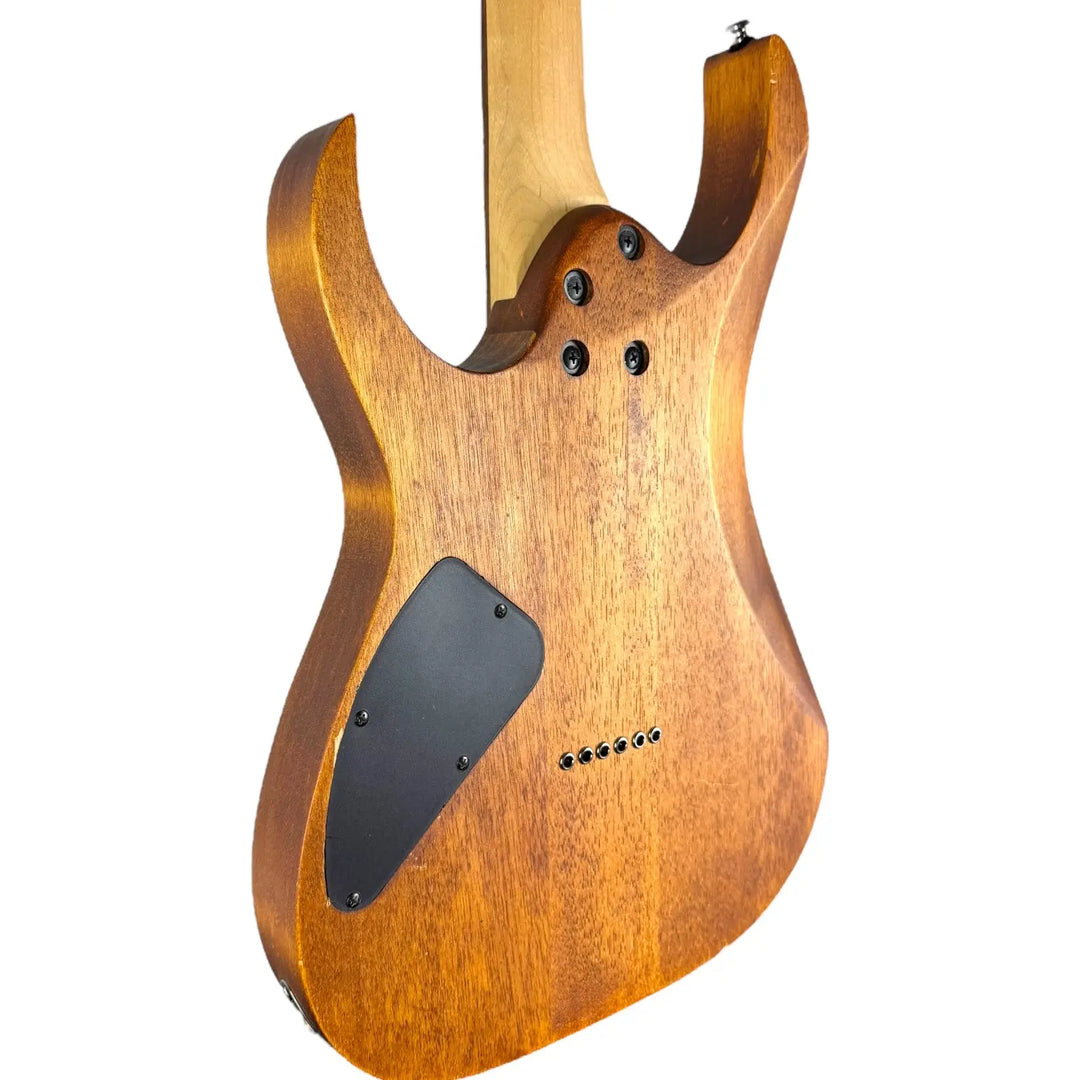 Ibanez RG421MOL - EMG Het Set - Pat´s Guitars