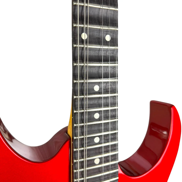 Ibanez PGM500 Pat´s Guitars