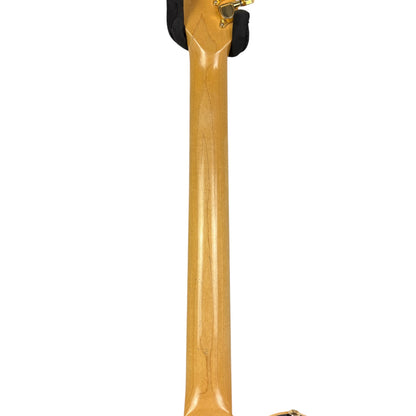 Godin L. R. Baggs Acousticaster - Tobacco Burst