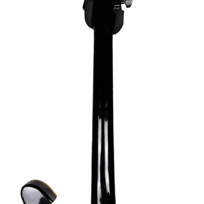 Ibanez Paul Stanley Black Ibanez