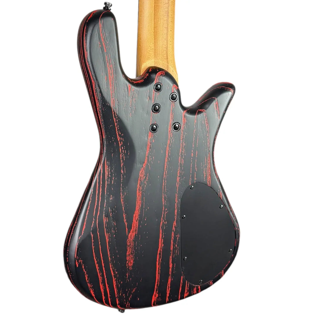 Spector Bass 5 String Spector